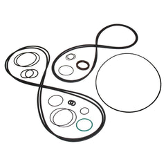Gasket Kit, Busch COBRA NC 0400B, 990546773 - Chemtech Scientific Incorporated