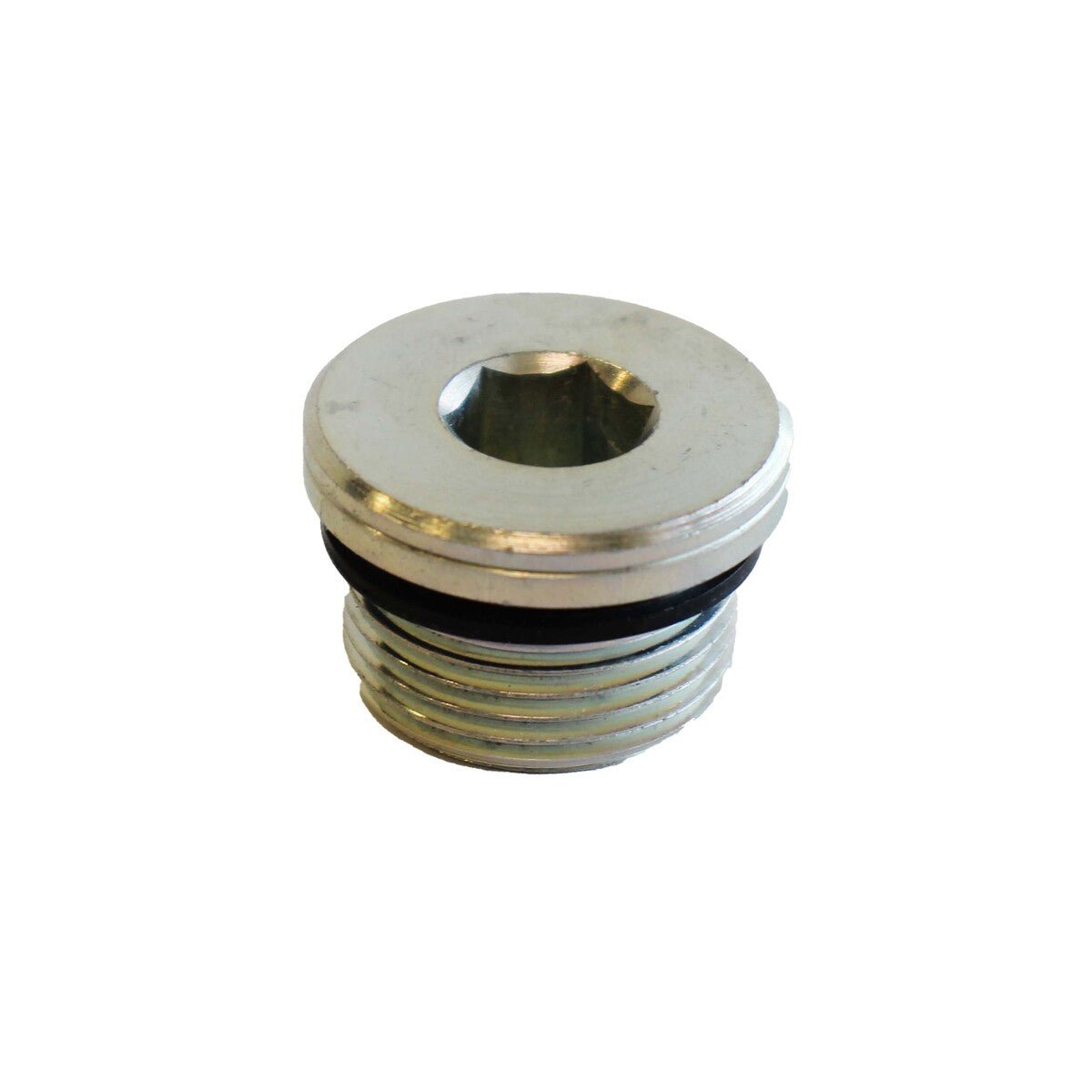 Plug,Screw, 415503596 - Chemtech Scientific Incorporated