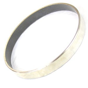 Bushing, Piston (Set of 2), 20066099 - Chemtech Scientific Incorporated