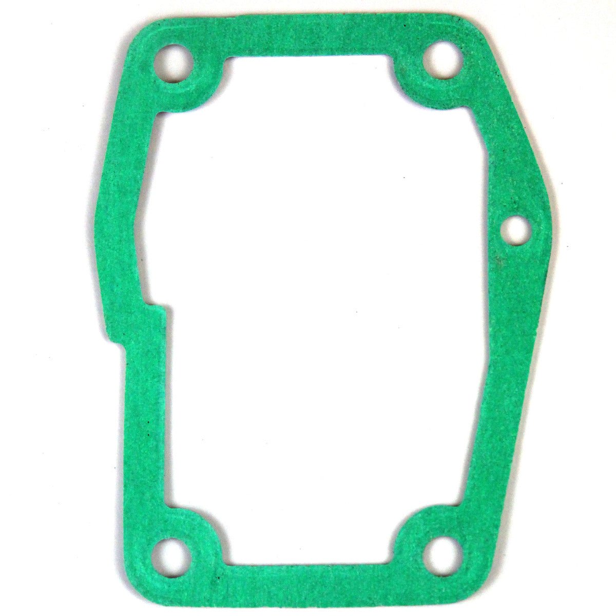 Cylinder Gasket, 480000150 - Chemtech Scientific Incorporated