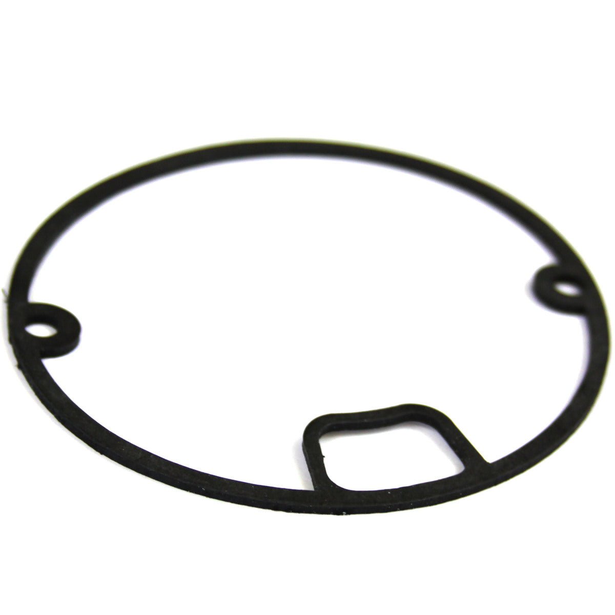Flat Gasket, Viton, 300048 - Chemtech Scientific Incorporated