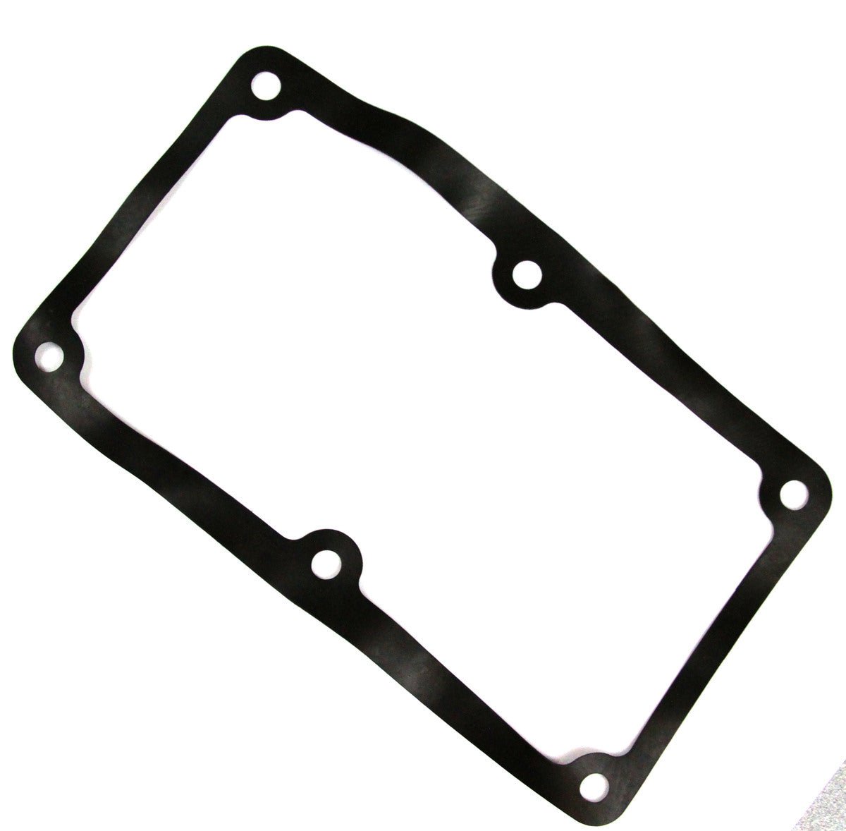 Gasket, 300042 - Chemtech Scientific Incorporated