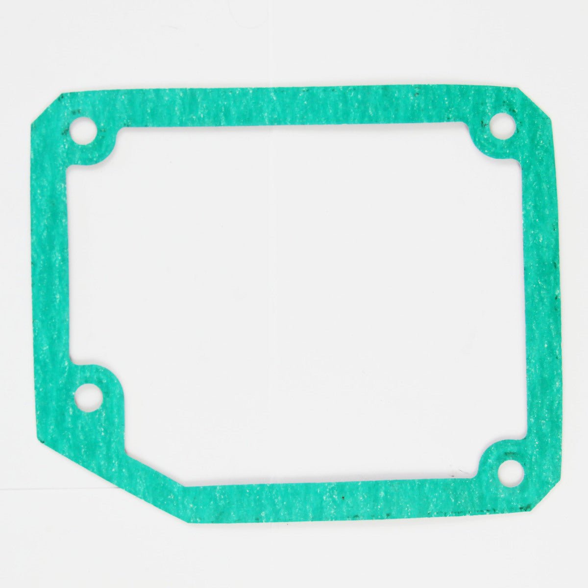 Gasket, 481503786 - Chemtech Scientific Incorporated