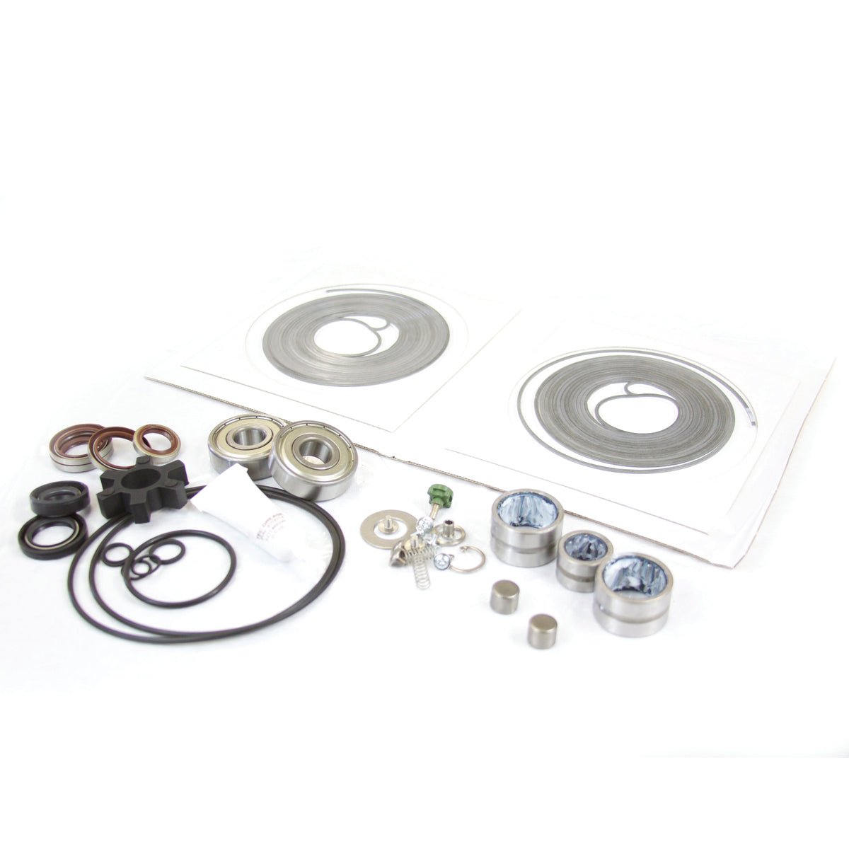 Major Repair Kit - Tip Seals - Multiple Brands / Models P71004800 - Chemtech Scientific Incorporated