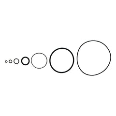 O - Ring, 161 x 3 mm - Viton, 320496 - Chemtech Scientific Incorporated