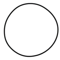 O - Ring, 171 x 3.51 MM, 320526 - Chemtech Scientific Incorporated