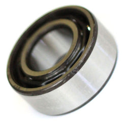 Open Bearing, PFPE, 330021