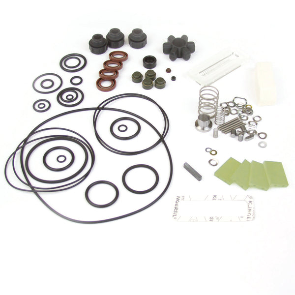 Major Repair Kit with GX Vanes - Alcatel/Adixen 2015C1 104978FR
