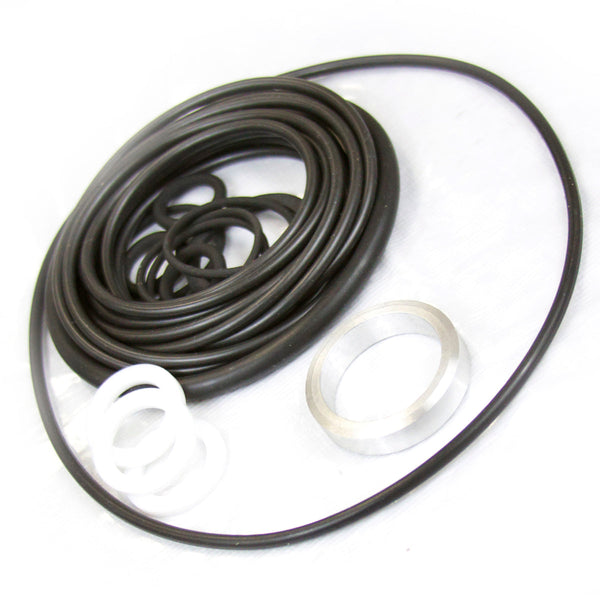 Seal & Gasket Kit P19466