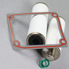Exhaust Filter Kit - Pack of 2 AF/ARS Element P18973