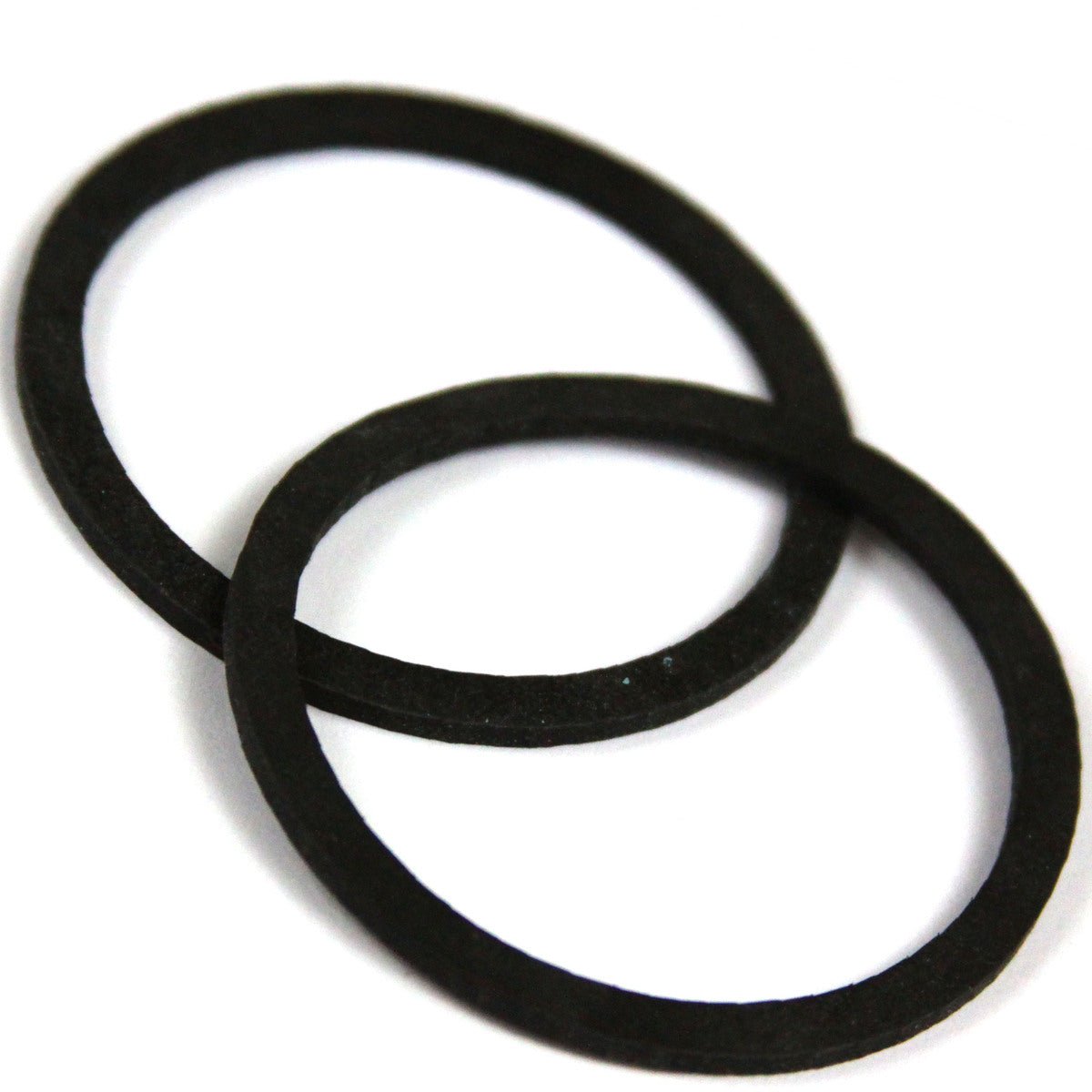 Ring Gasket, 48202300 - Chemtech Scientific Incorporated