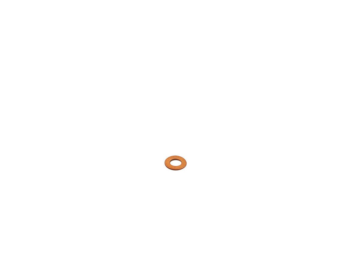 Ring Gasket, 48401400 - Chemtech Scientific Incorporated
