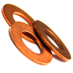 Ring Gasket, 48403400 - Chemtech Scientific Incorporated