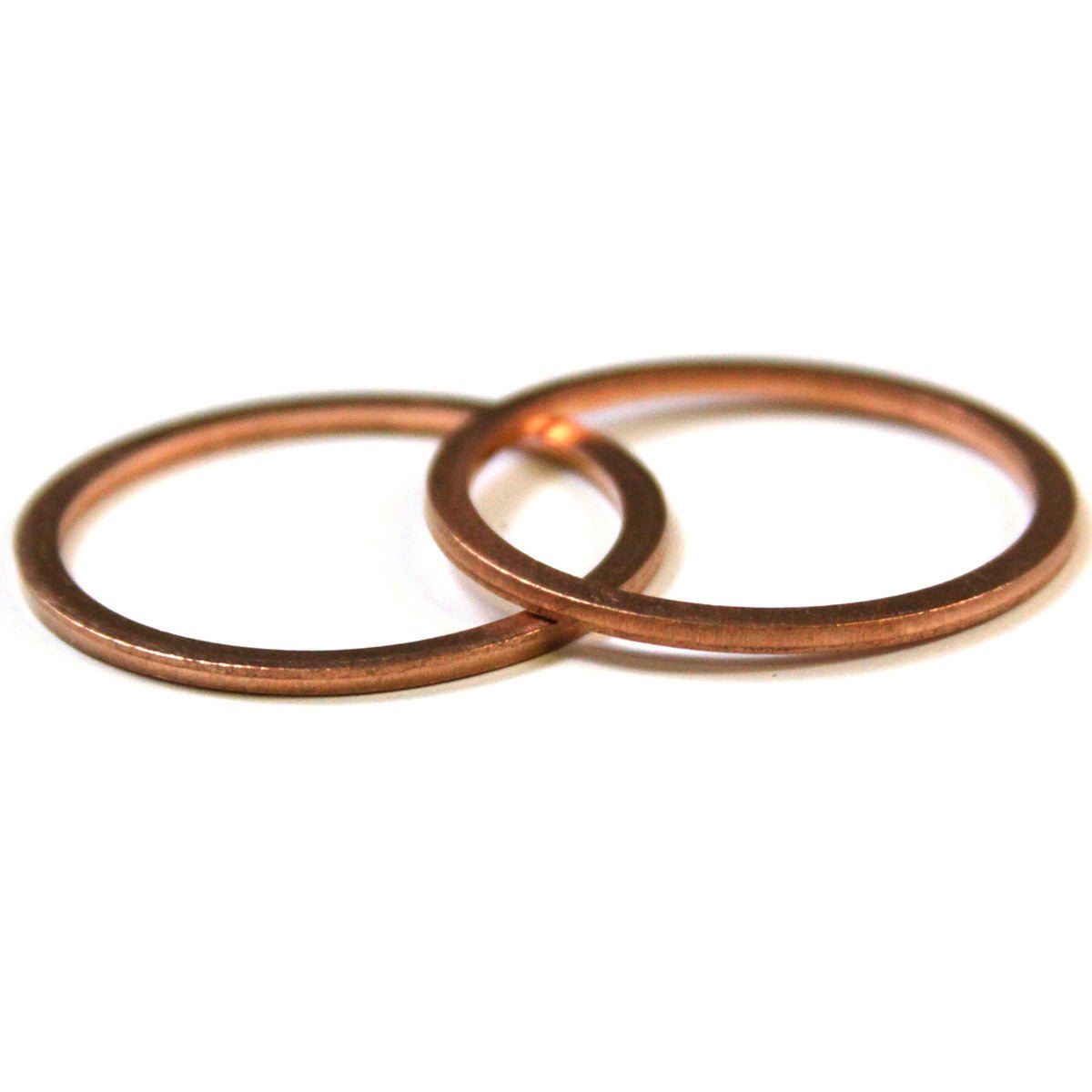 Ring Gasket, 48406700 - Chemtech Scientific Incorporated