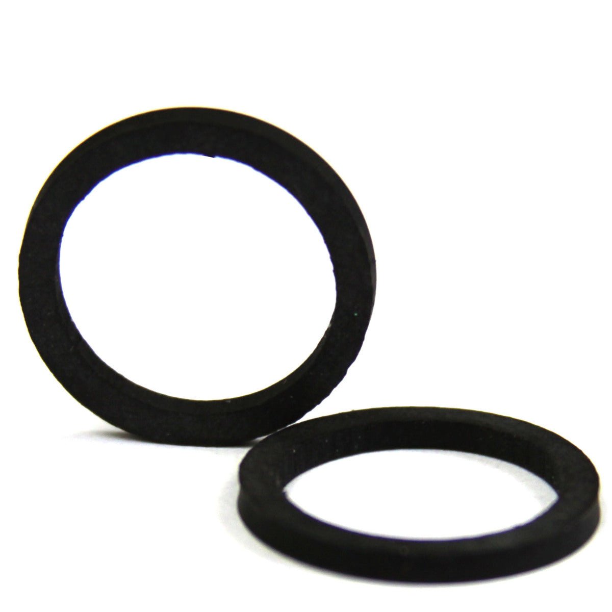 Ring Gasket, Viton, 300045 - Chemtech Scientific Incorporated
