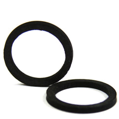 Ring Gasket, Viton, 300045 - Chemtech Scientific Incorporated