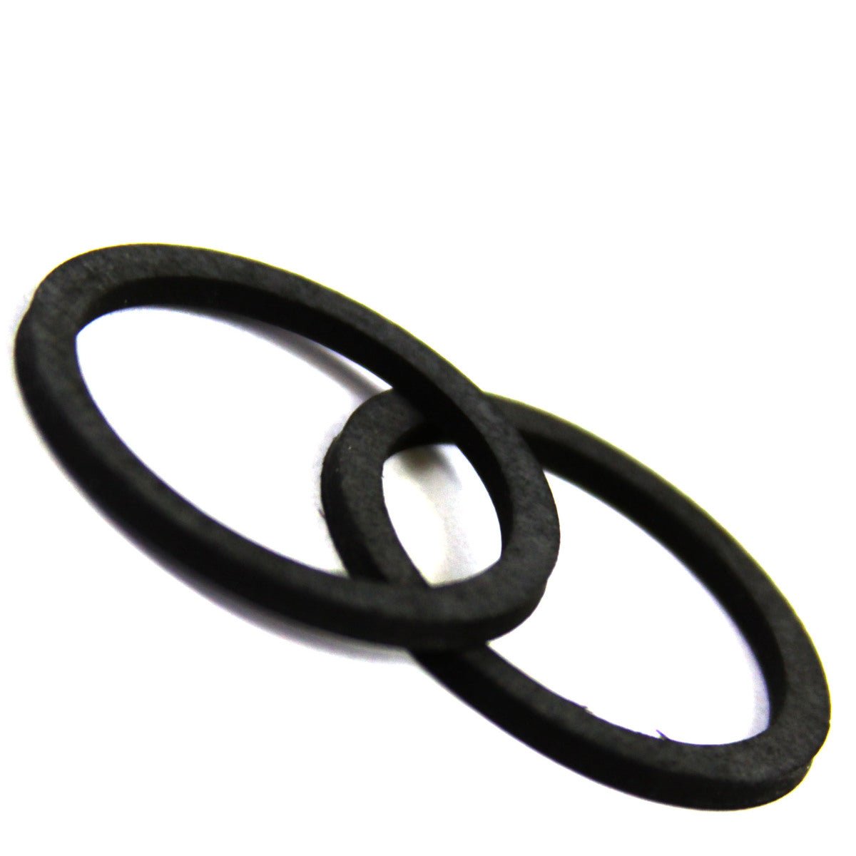 Ring Gasket, Viton, 300046 - Chemtech Scientific Incorporated