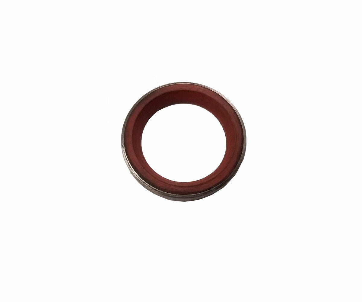 SEAL,RING,18X24X3, 38250022 - Chemtech Scientific Incorporated