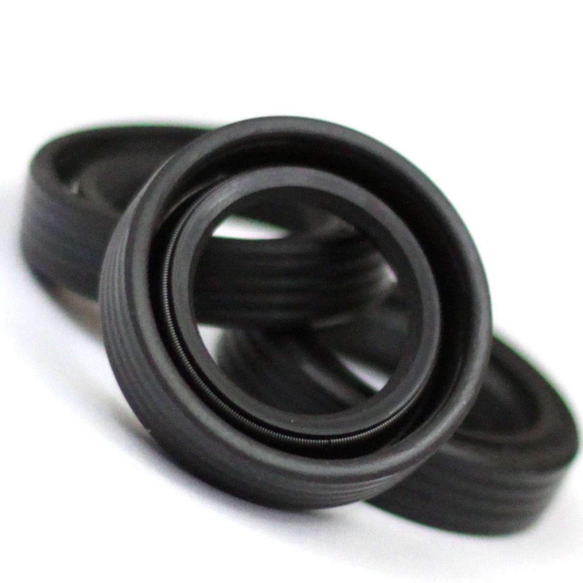 Shaft Seal, Lip - without Dust Lip, 310048 - Chemtech Scientific Incorporated