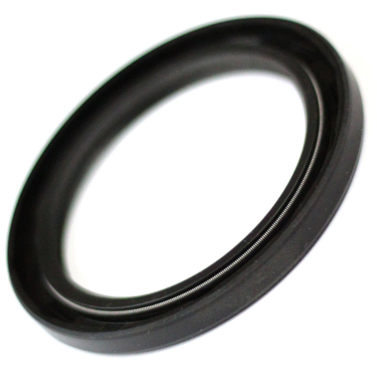 Shaft Seal, Viton - 60 x 80 x 10/8, 48702200 - Chemtech Scientific Incorporated