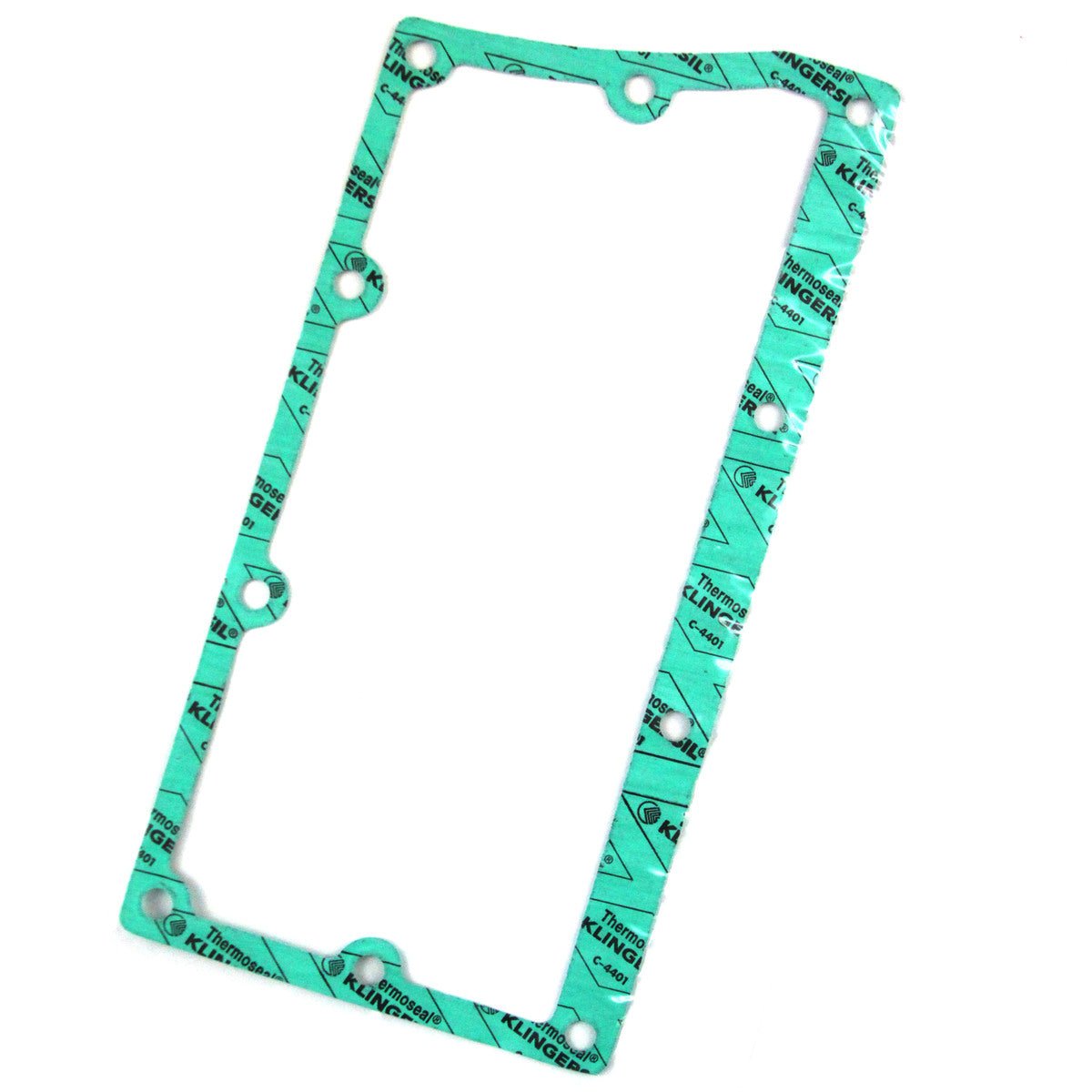 Side Cover Plate Gasket, 48013400 - Chemtech Scientific Incorporated